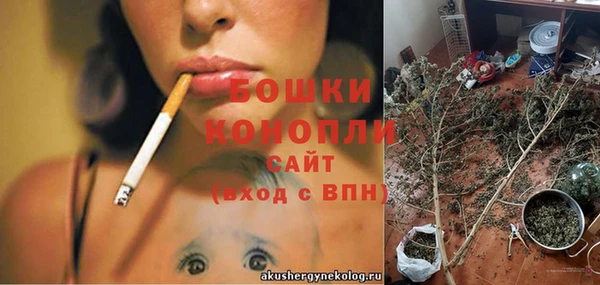 винт Абаза