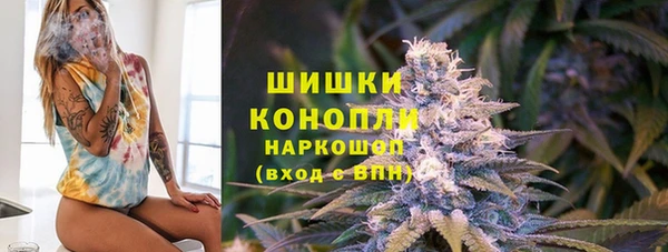винт Абаза