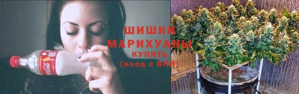 винт Абаза