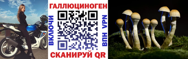 продажа наркотиков  Нефтегорск  Галлюциногенные грибы прущие грибы 